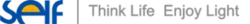 SELF Electronics GmbH